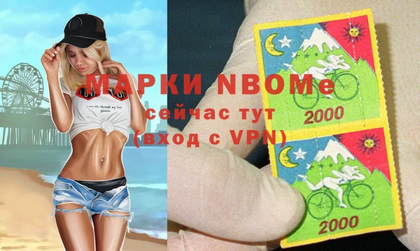 apvp Алексин