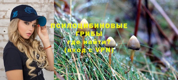 PSILOCYBIN Абдулино